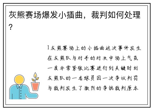 灰熊赛场爆发小插曲，裁判如何处理？